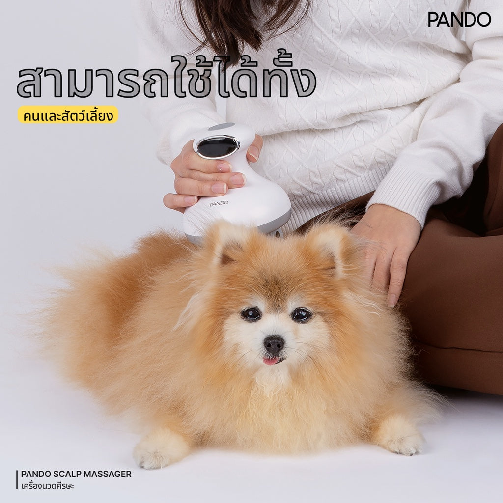PANDO scalp massager