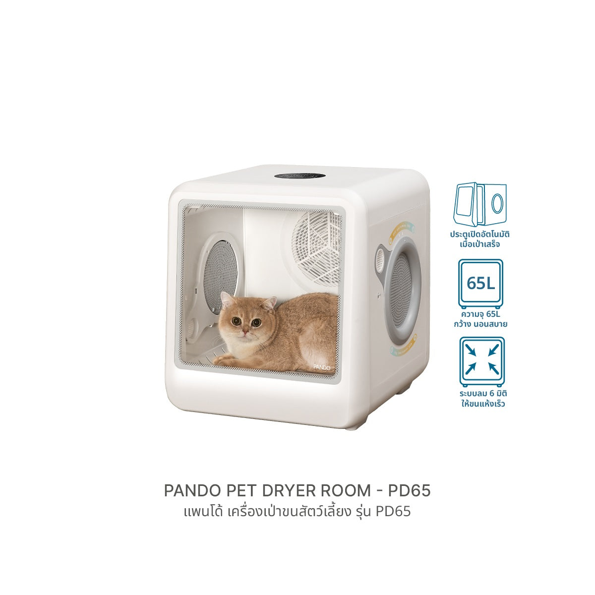 PANDO Pet Dryer Room PD65