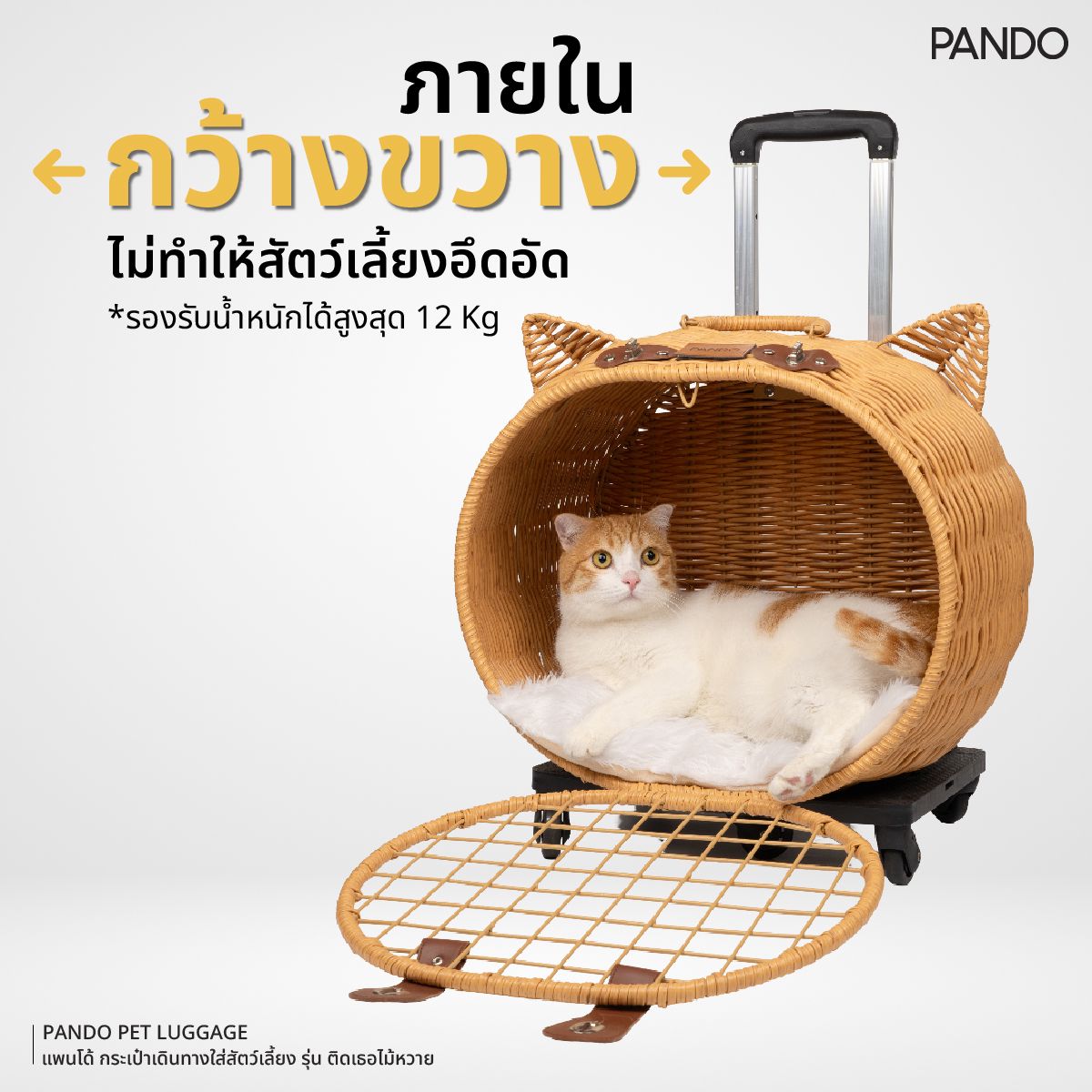 Pando Pet Luggage