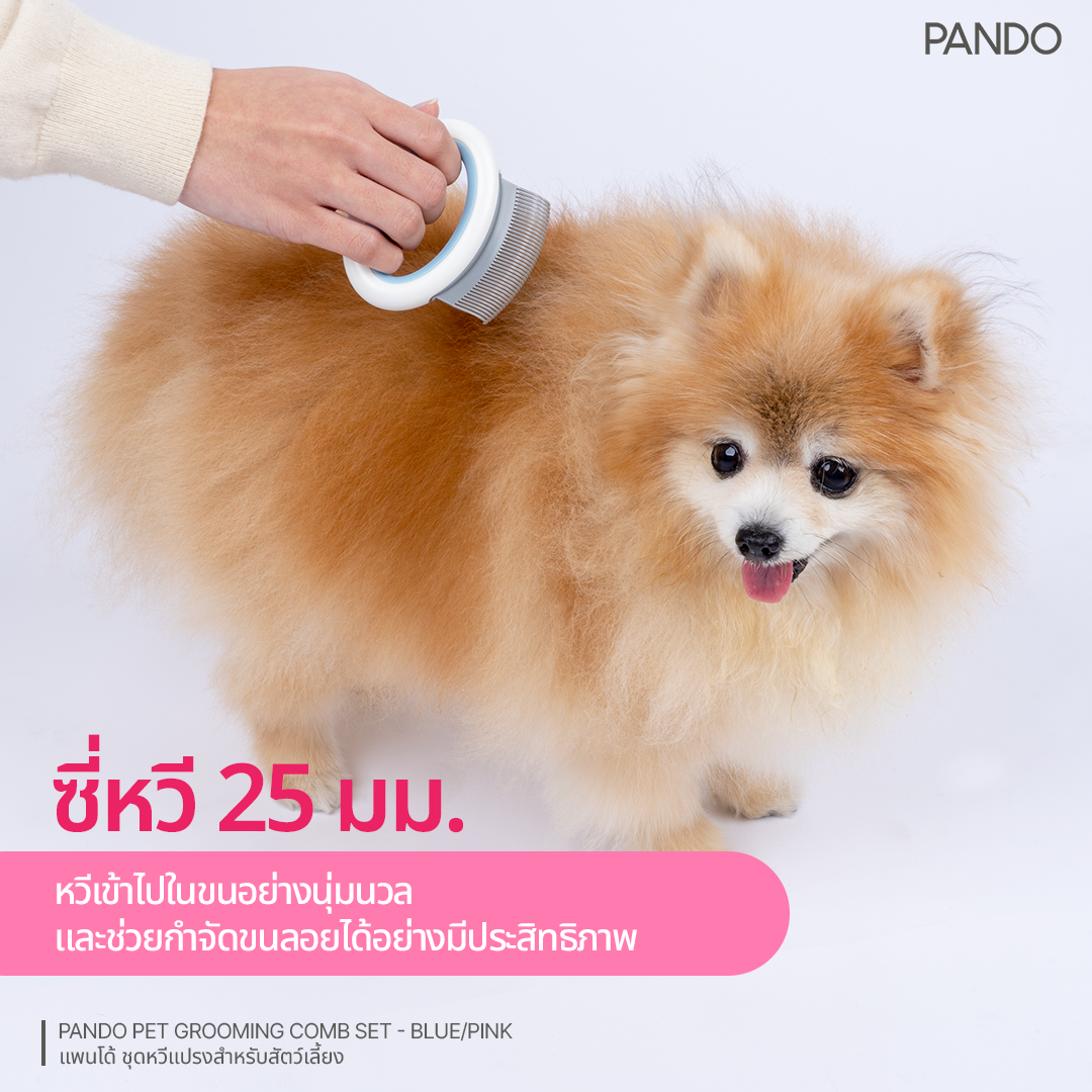 PANDO Pet Grooming Comb Set